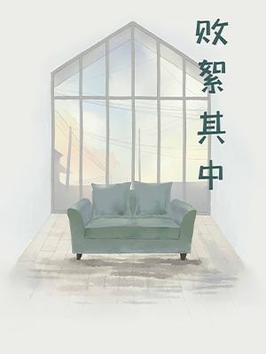 败絮其中封面