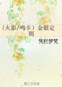 金银定则封面
