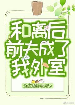 和离后前夫成了我外室封面