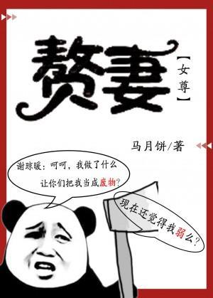 赘妻（女尊）封面