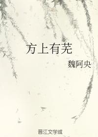 方上有芜封面