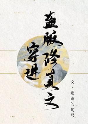 穿进盗版修真文封面
