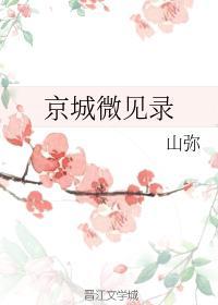 京城微见录封面