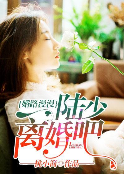 婚路漫漫：陆少离婚吧！封面