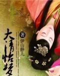 大清怡梦第二部封面