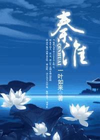 秦淮封面