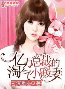 亿万总裁的淘气小暖妻封面