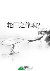 轮回之修魂2封面