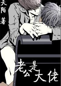老公是大佬封面