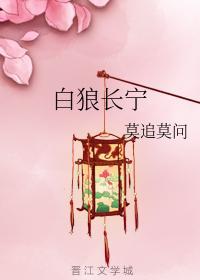 白狼长宁封面