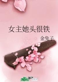 女主她头很铁封面