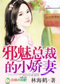 邪魅总裁的小娇妻封面