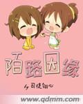 陌路因缘封面