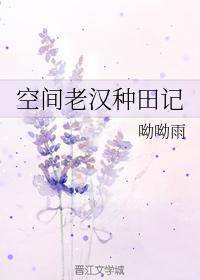 空间老汉种田记封面