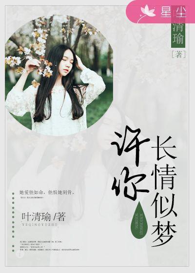 许你长情似梦封面
