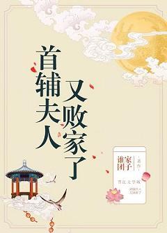 首辅夫人又败家了封面