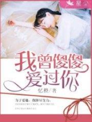 我曾傻傻爱过你陆轩昂夏暖封面