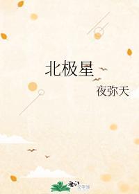 北极星封面