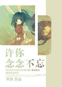 许你念念不忘封面