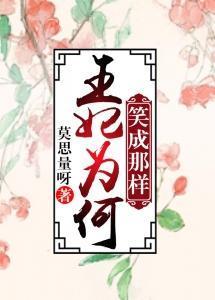 王妃为何笑成那样封面