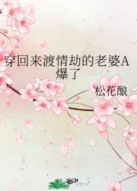 穿回来渡情劫的老婆A爆了封面