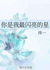 你是我最闪亮的星封面