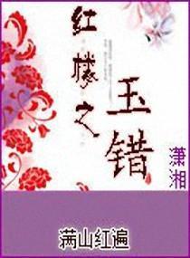 红楼之玉错封面