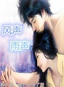 风声更雨声封面