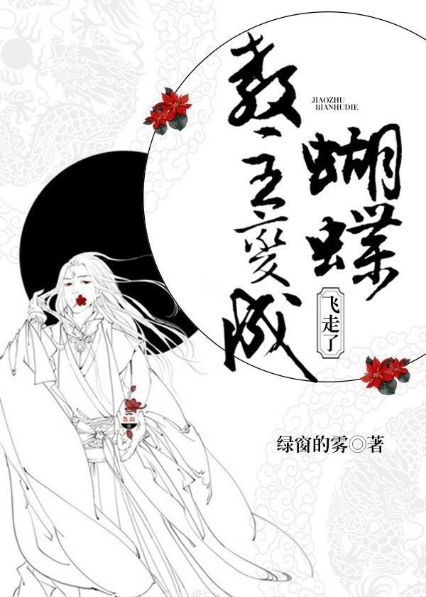 教主变成蝴蝶飞走了封面