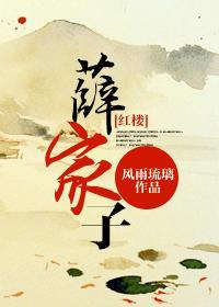薛家子封面