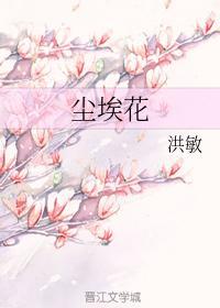 尘埃花封面