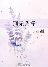别无选择封面