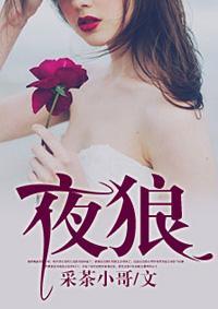 夜狼唐宇谢雨男封面