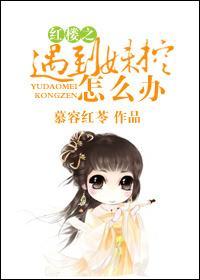 红楼之遇到妹控怎么办？封面