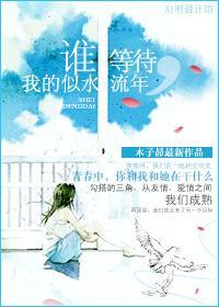 谁等待，我的似水流年封面