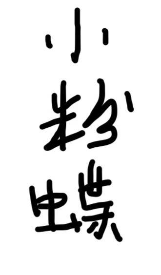 小粉蝶封面