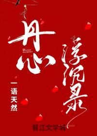 丹心浮沈录封面