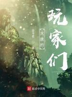 大唐的玩家们封面