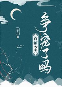 首辅今天争宠了吗封面