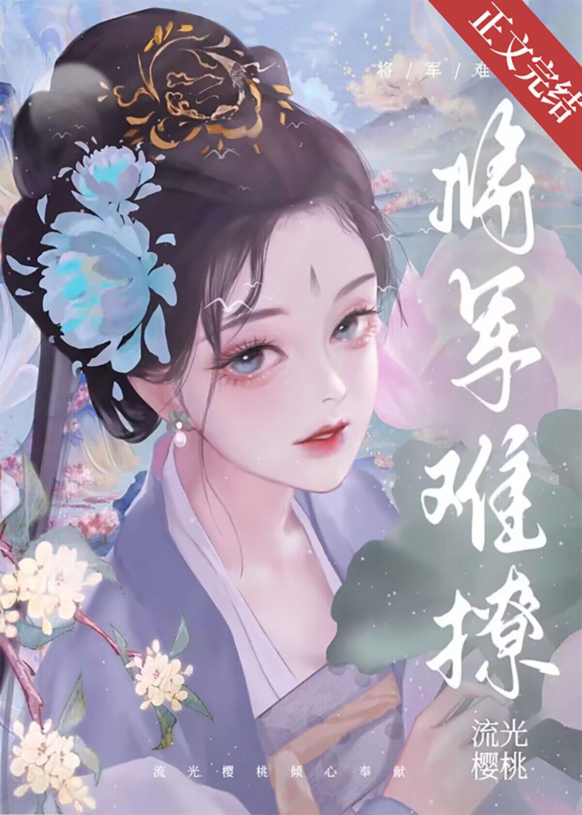 将军难撩封面