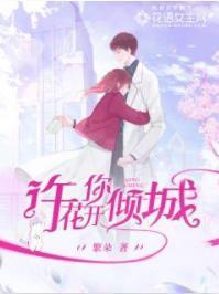 许你花开倾城封面