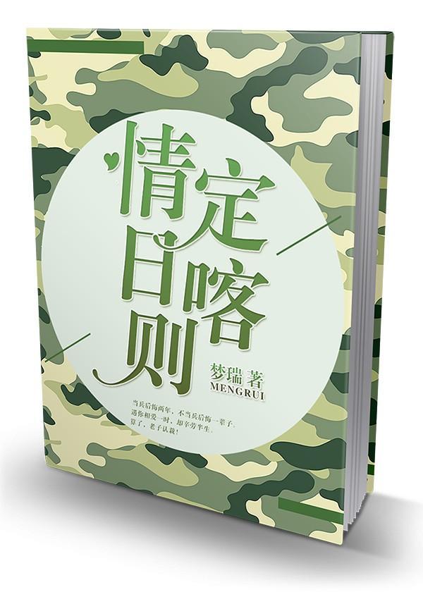 情定日喀则封面