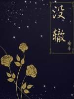 没辙封面