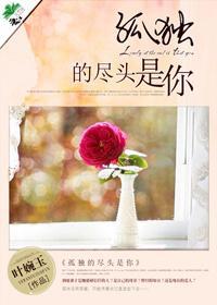 孤独的尽头是你封面