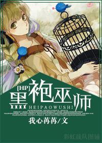 [HP]黑袍巫师封面