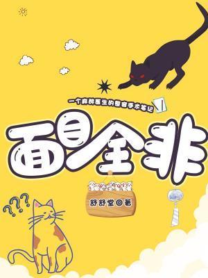 面目全非封面