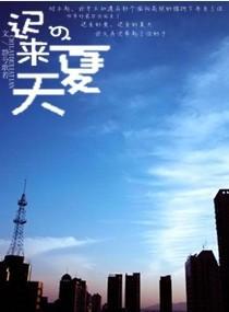 迟来的夏天封面