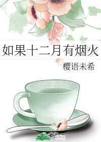 如果十二月有烟火封面