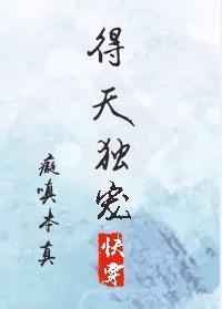 得天独宠封面