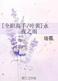 永夜之雨封面